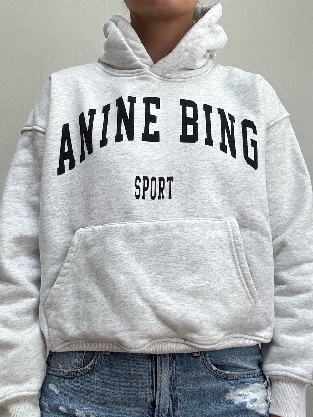 Anine Bing hoodie